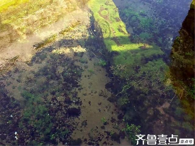 水韵悠悠访泉林