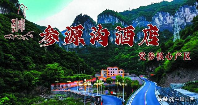 山西壶关紫团参舌尖与身心的双重盛宴