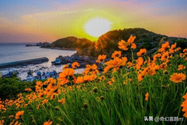 当代散文|海南游记