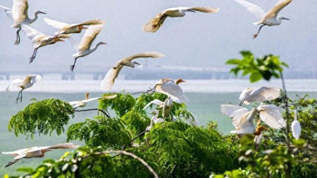 宁波：“东方不老岛”入选国家级名单