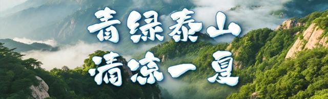 青绿泰山 清凉一夏丨来泰山东御道，闯入绿野仙踪，把童话里的清凉揣进夏天