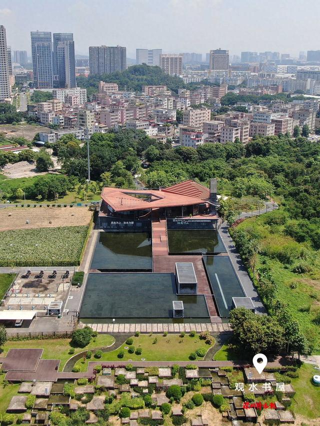 美丽深圳·每日一图｜2025年8月5日