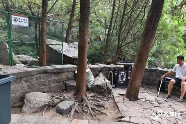 游客爬泰山有了休息驿站！泰山十二连盘微景观改造升级