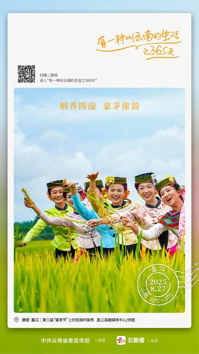 稻谷黄了，德宏这里又“过节”了丨有一种叫云南的生活之365天