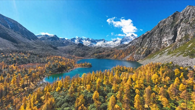 20岁女孩徒步党岭，高反失温遭队友抛弃后，数十人的接力营救