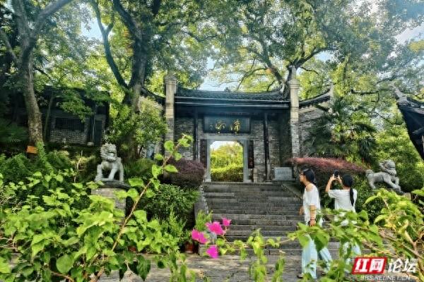 在蘋洲书院拆“文脉盲盒”，每一步都有惊喜
