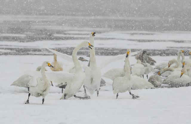冬游威海，全省推介！威海上榜省生态旅游发展典型案例