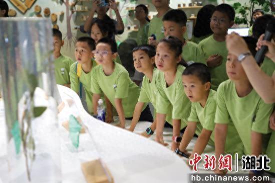 五峰后河保护区举办第二届青少年科考夏令营活动