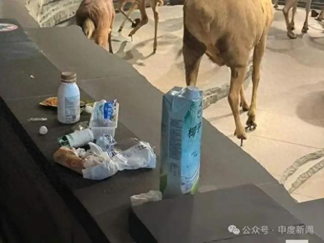 太令人不适！网友曝光这一幕：“像是刚野餐完了一样”，上海自然博物馆呼吁→