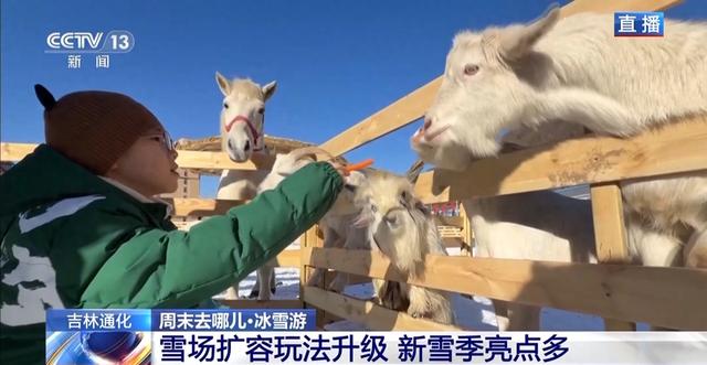 周末去哪玩？雪场“不打烊” 冰雪文旅一路畅游