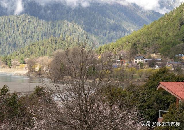 三月这 12 个地方才是春天天花板，一到 3 月就美到不想回家