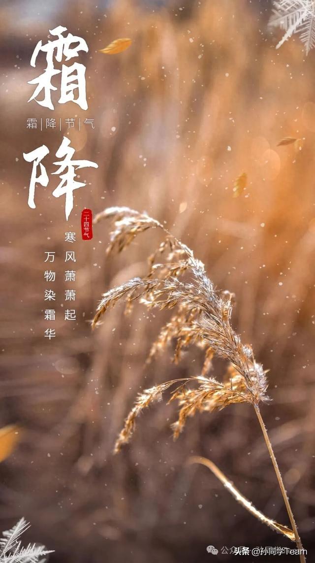 跟着节气游榆林之霜降