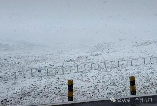 一地突降鹅毛大雪！龙口接下来的天气…