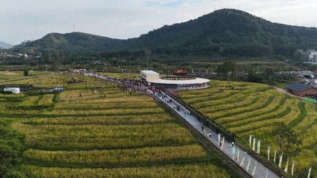 2025年白沙“啦奥门”雨林与您山兰文化活动启幕