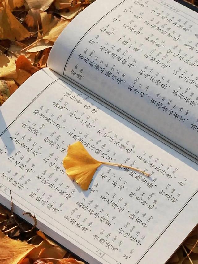 散文诗的特点是什么（散文特点语言美意境美形散神不散）