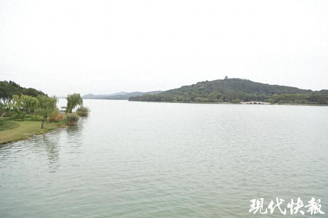 2025全国地方媒体总编辑看无锡｜无锡“乐读慢岛”：音乐为媒，激活城市文旅新活力