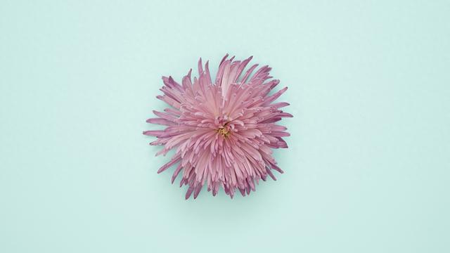 12月21日，星期日，亥猪，有惊喜发生了