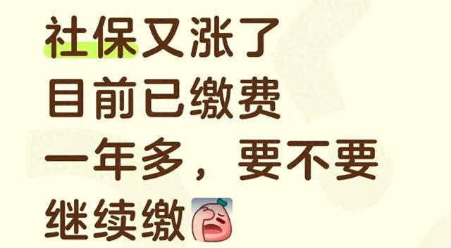 社保又涨了，只交医保还是继续交社保？浙江打工人的纠结，这篇