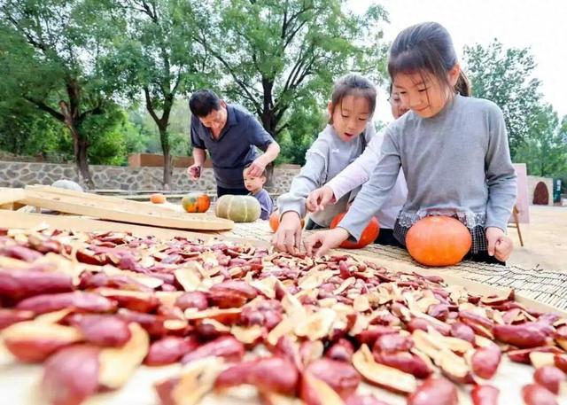 何须远行？这些秋日限定的“诗情画意”就在石家庄周边