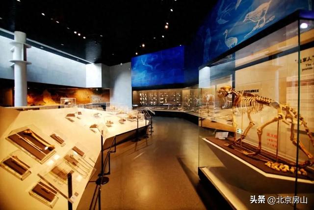 这个研学之旅邀您亲测最“野”体验