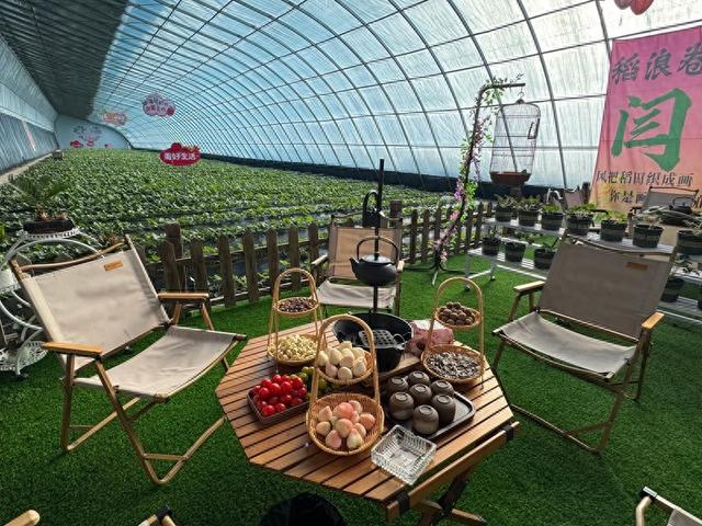 哈尔滨闫家岗农场“草莓仙子文化小镇”马上开业了