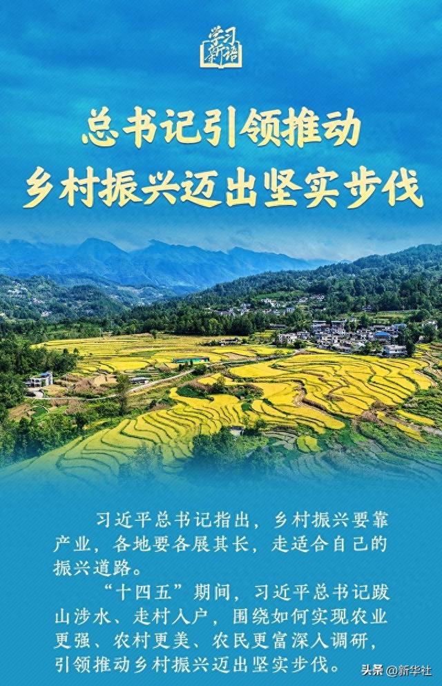 学习新语｜总书记引领推动乡村振兴迈出坚实步伐