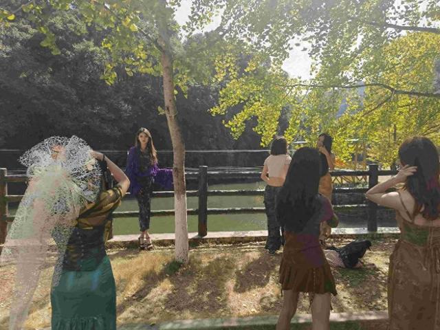 谁说广东没有秋天？这个“岭南银杏之乡”，轻松邂逅秋日浪漫