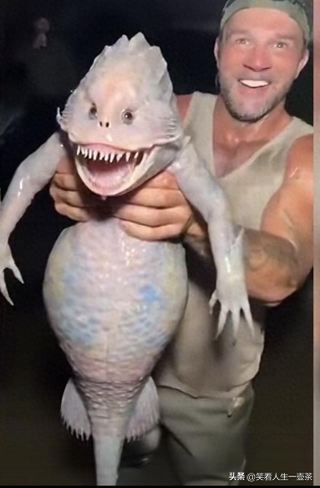 严厉抵制杜绝Al视频