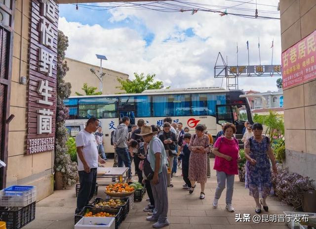 赏美景、尝美食……公交专线带您畅游晋宁
