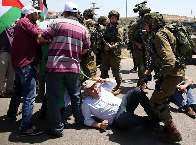 简直不配为人！联合国报告揭开加沙残酷真相，以色列恶心嘴脸曝光