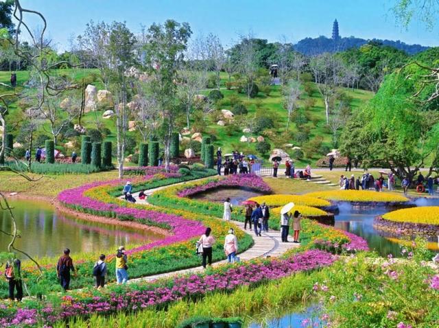 菊色缤纷争妍！青秀山菊花展邀你来“花”式打卡