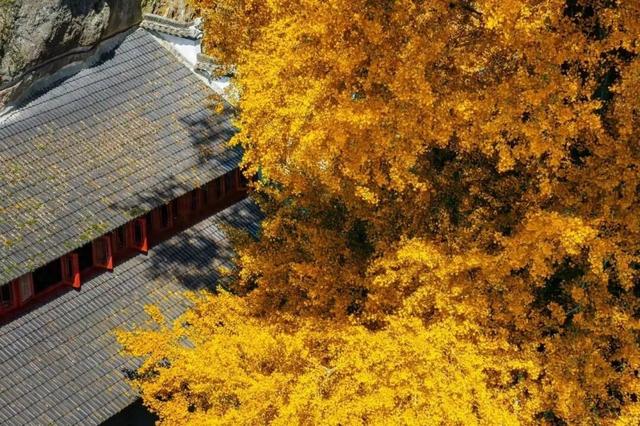 抓住杭州秋天的尾巴，我们和听友在建德度过了一个完美的周末！