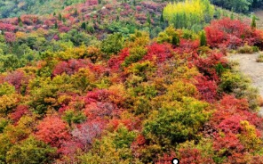 郑州周边适合徒步捡秋的8个好去处！附徒步路线→