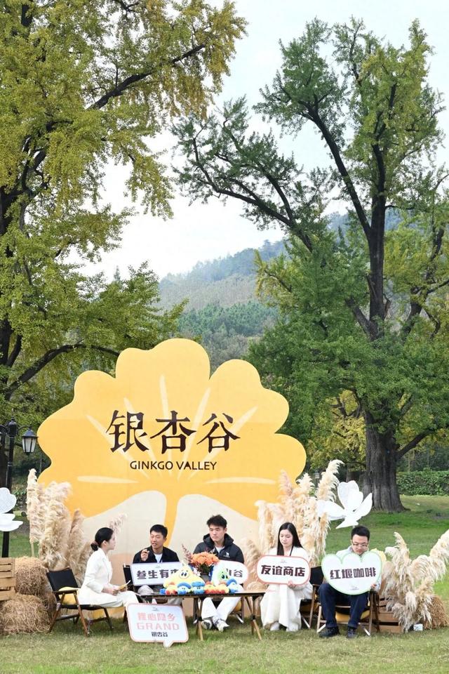 随州银杏谷“金秋畅游季”发布！解锁N种玩法