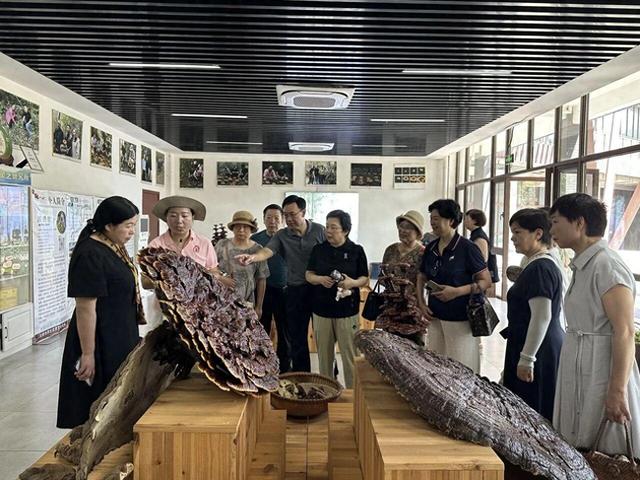 绿水青山间，乐享银龄研学之旅