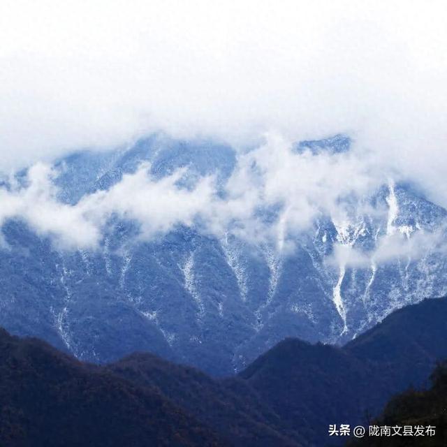 谁说冬日萧瑟？白马河畔，正藏着一个“暖色系”的冬天