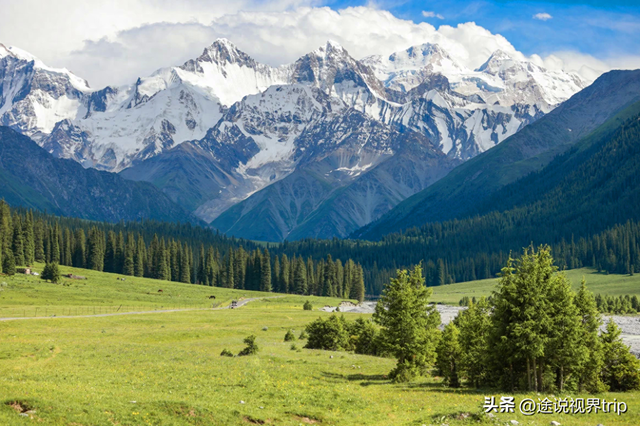 伊犁：中国西北的人间仙境，800公里风景长廊，藏着世间所有美好