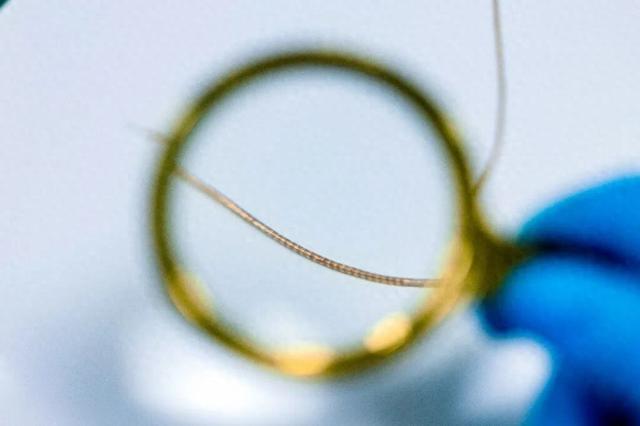研发成功！我国脑机接口领域取得重要突破
