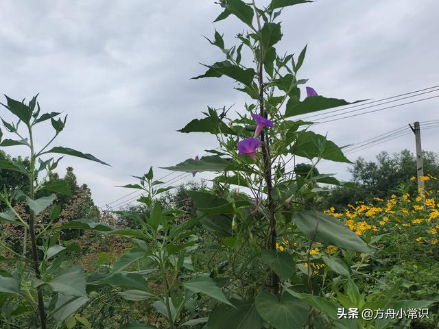 郊外；让人流连忘返安静的地方。