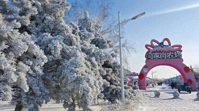 赴草莓小镇，寻地道年味！