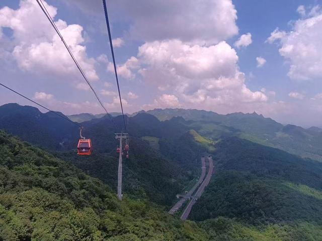 夏屹杰||夏来梅花山