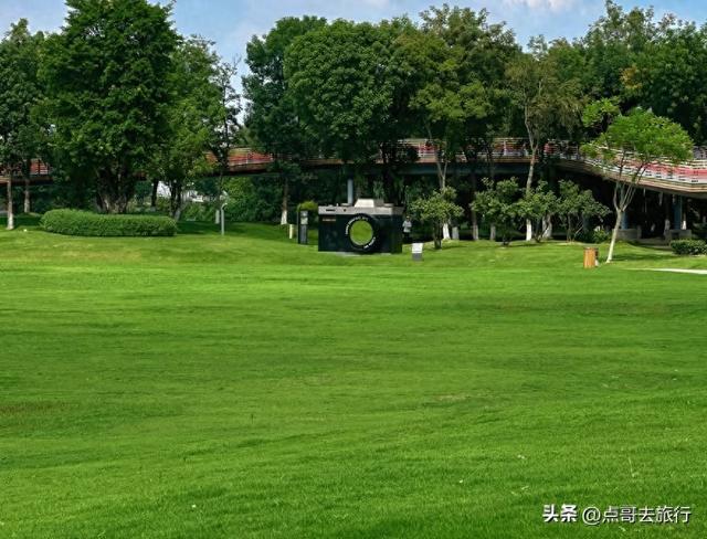 成都市内超级大草坪，美得让人惊叹，是摄影者的天堂，公交车直达