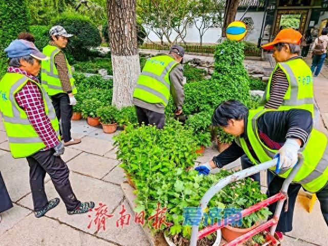 趵突泉菊花展筹备正酣，金秋文化盛宴即将开启