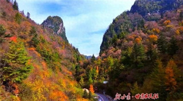 叮～你有一份官鹅沟秋日限定惊喜，请及时签收