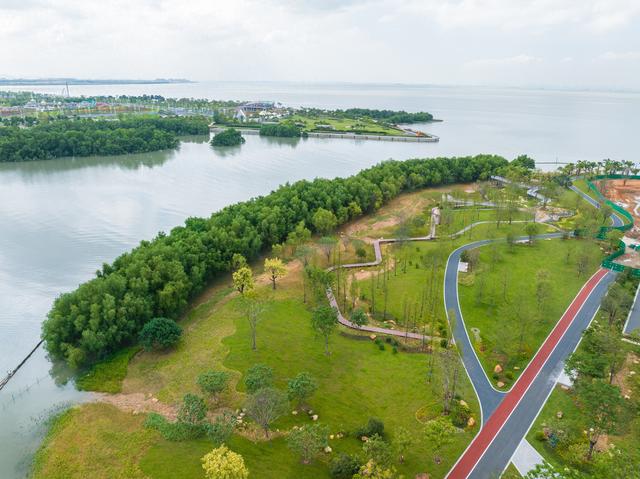 原生态、可亲海！滨海湾这条海岸线示范段上新→