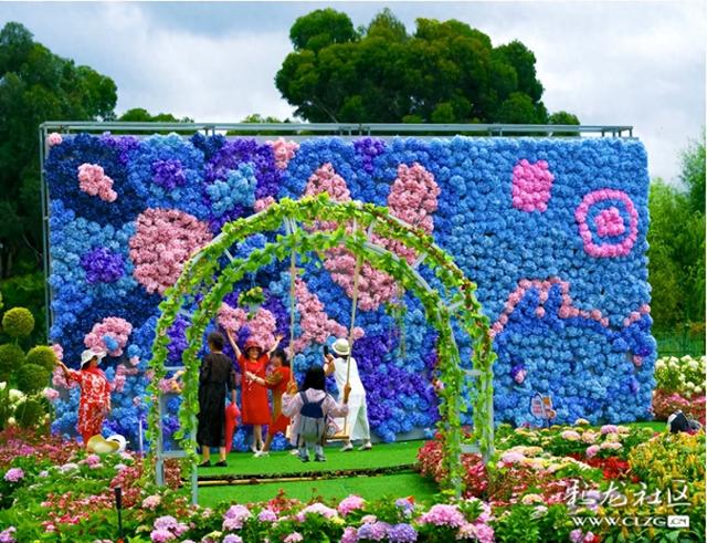 绣球花展点亮滇池