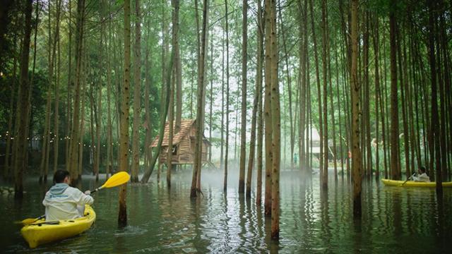 布局多业融合 探索场景创新 成都崇州解锁县域旅游“流量密码”