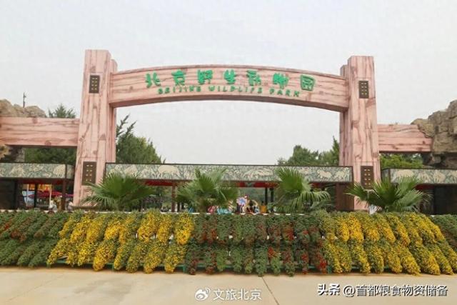 沉浸式感受！去“燕京十景”之一饱览碧波秋景｜周末京郊微度假