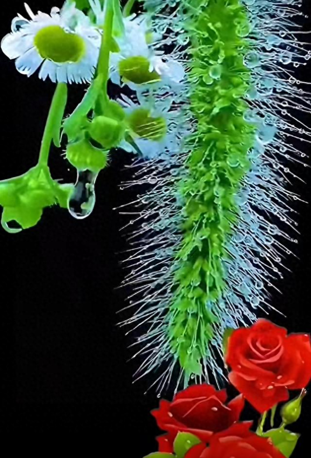 逗小猴最新攻略（激发女人兽性让她主动的三狠招）