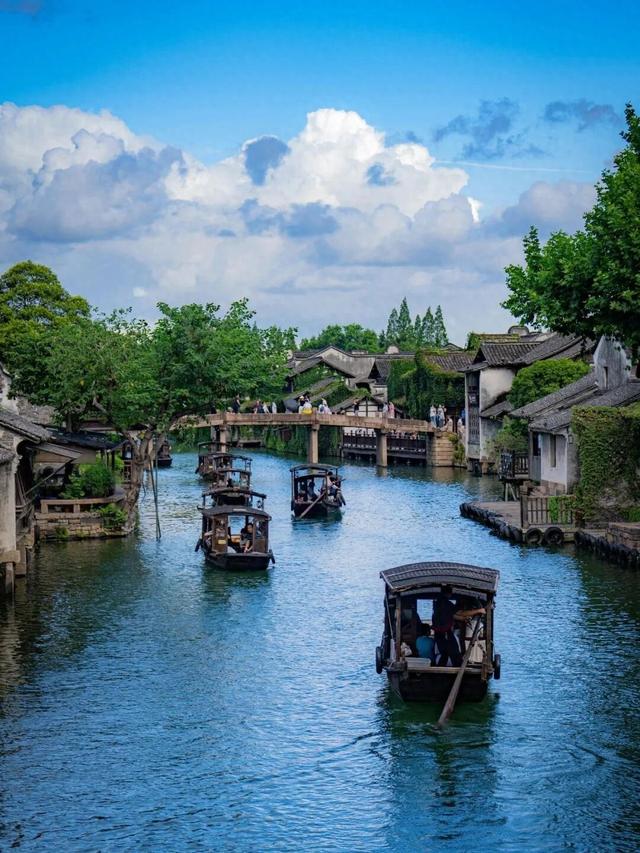 春假要来了！桐乡这些景区对中小学生免费→